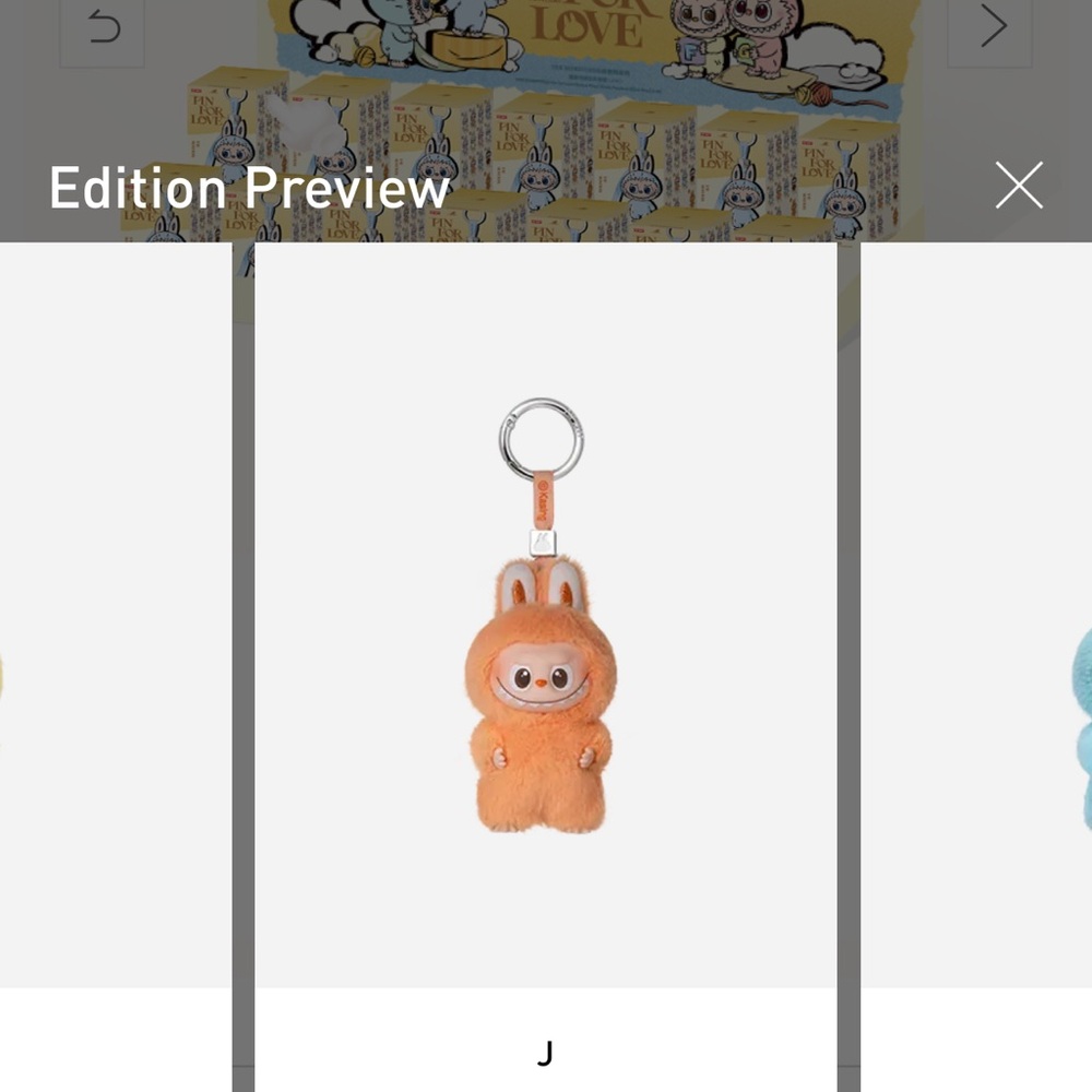 THE MONSTERS Pin for Love Series-Vinyl Plush Pendant Blind Box (A-M)
J